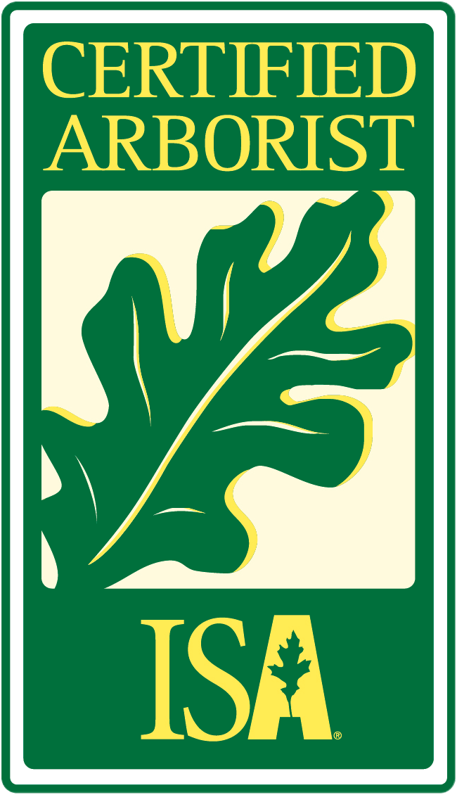 Cascadia-tree-care-isa-certified-arborist